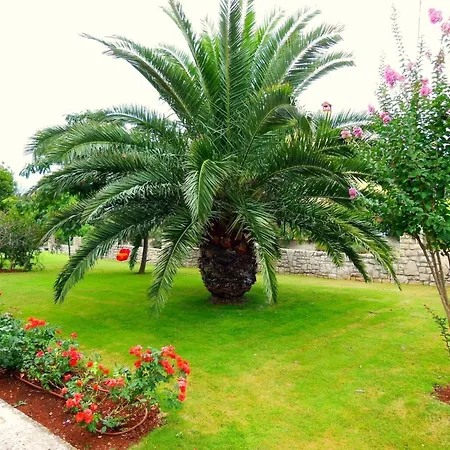 Apartman With Terrace And Garden Access Zambratija