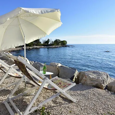 With Terrace And Garden Access *